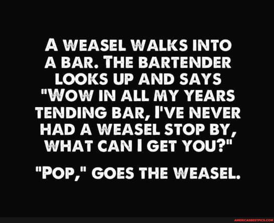 A WEASEL WALKS INTO A BAR. THE BARTENDER LOOKS UP AND SAYS
"WOW IN ALL MY YEARS TENDING BAR, I'VE NEVER HAD A WEASEL STOP BY,
WHAT CAN I GET YOU?"
"POP," GOES THE WEASEL.