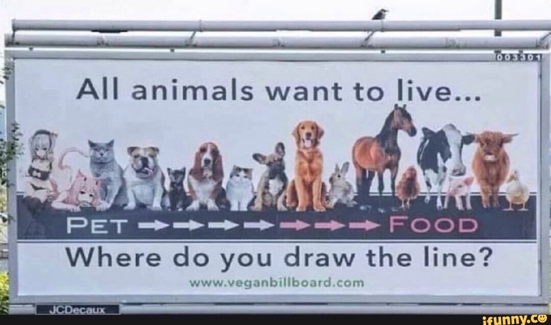 Draw The Line Www Veganbulbbomcl Com 3 Pet Food Where Do You