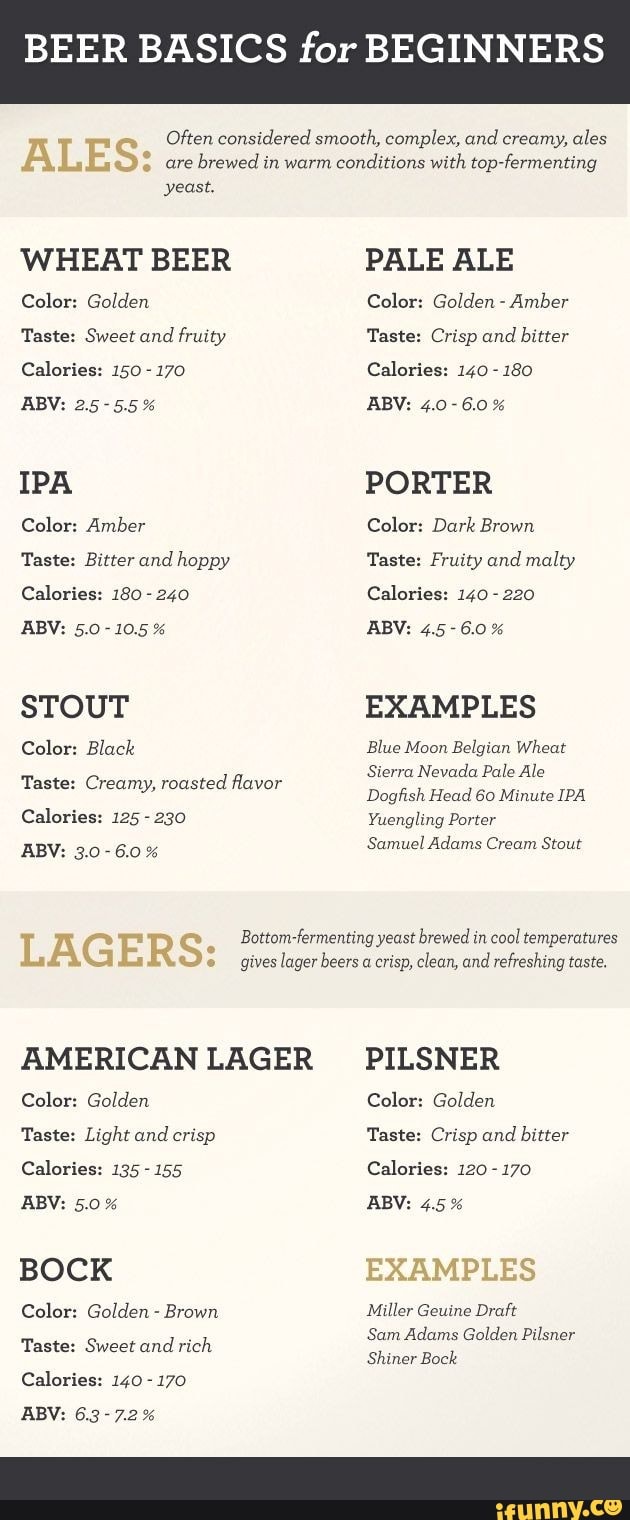 BEER BASICS for BEGINNERS Often considered smooth, complex, and creamy