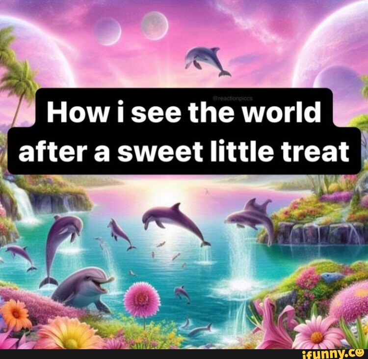 How I See The World After Meme How i see the world after a sweet little treat - iFunny