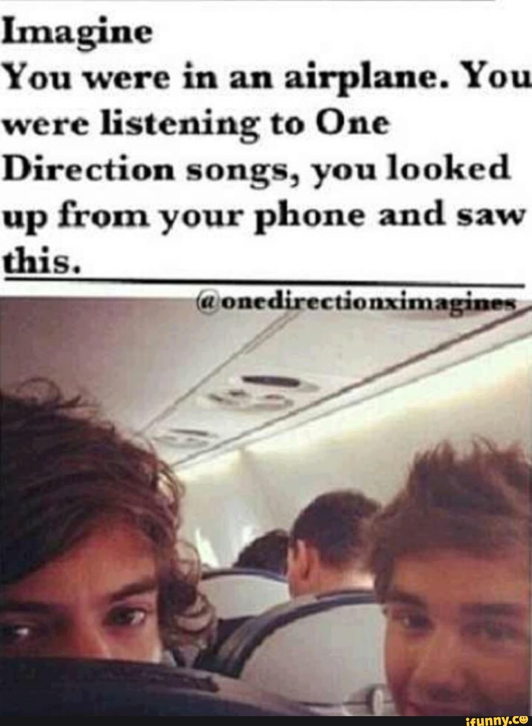 Imagine You Were In An Airplane. You Were Listening To One Direction 