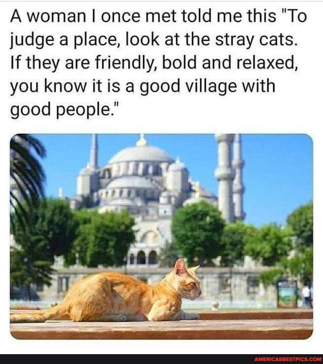 A woman I once met told me this "To judge a place, look at the stray cats.
If they are friendly, bold and relaxed, you know it is a good village with good people.
