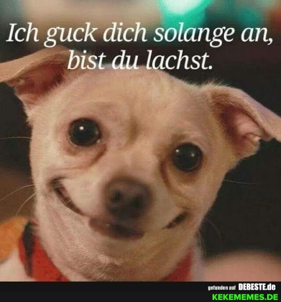 Ich guck dich solange an,
- bist lachst,
