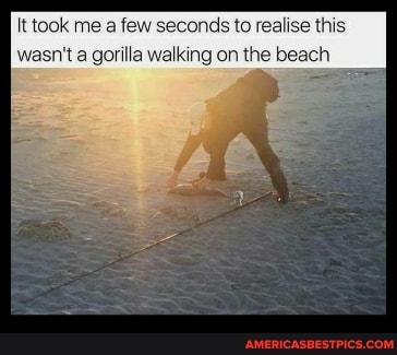 It took me a few seconds to realise this wasn't a gorilla walking on the beach