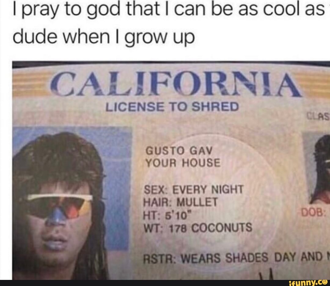 I pray to god that I can be as cool as
dude when I grow up
= CALIFORNIA LICENSE TO SHRED
GUSTO GAV
YOUR HOUSE
SEX: EVERY NIGHT