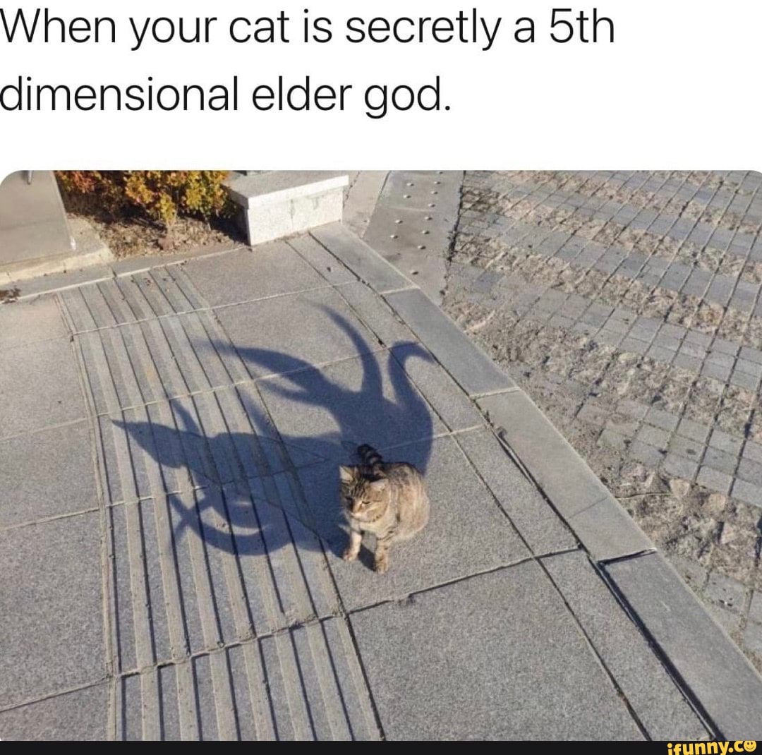 hen your cat is secretly a Sth dimensional elder god.