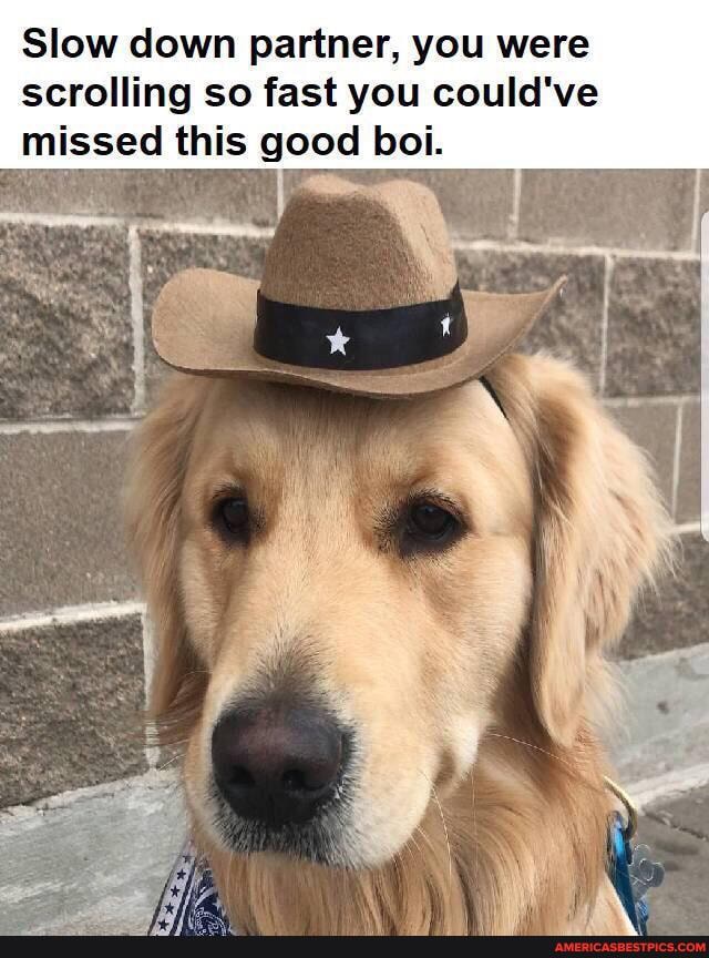 Slow down partner, you were scrolling so fast you could've missed this good boi.
