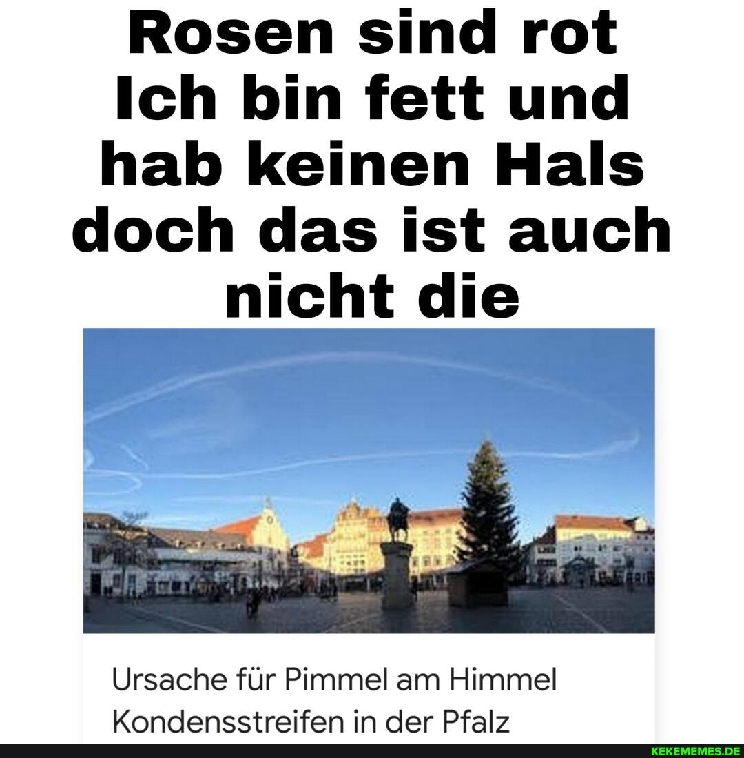 Rosen sind rot
Ich bin fett und hab keinen Hals doch das ist auch nicht die
Ursache für Pimmel am Himmel
Koandensstreifen in dar Pfalz