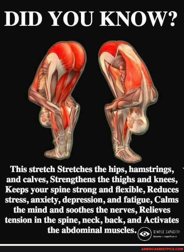 DID YOU KNOW?
This stretch Stretches the hips, hamstrings, and calves, Strengthens the thighs and knees,
Keeps your spine strong and flexible, Reduces stress, anxiety, depression, and fatigue, Calms the mind and soothes the nerves, Relieves tension in the spine, neck, back, and Activates the abdominal muscles.
cit