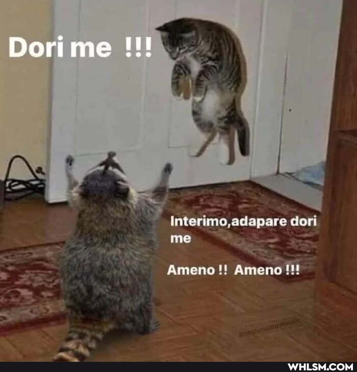 Dori me
Interimo,adapare dori me
Ameno Ameno