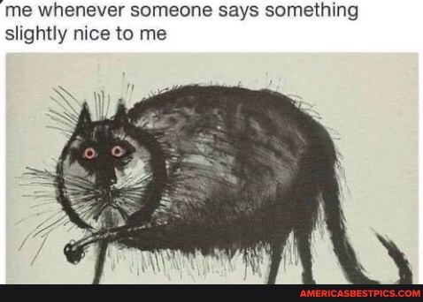 'me whenever someone says something slightly nice to me