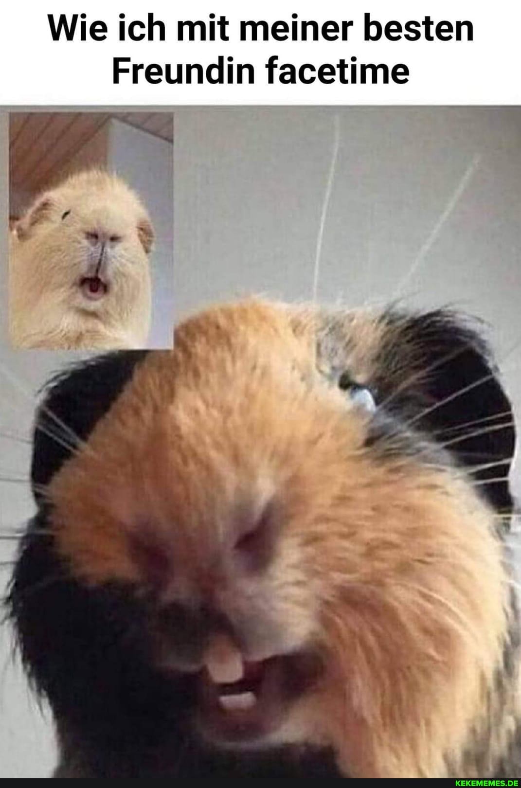 Wie ich mit meiner besten
Freundin facetime