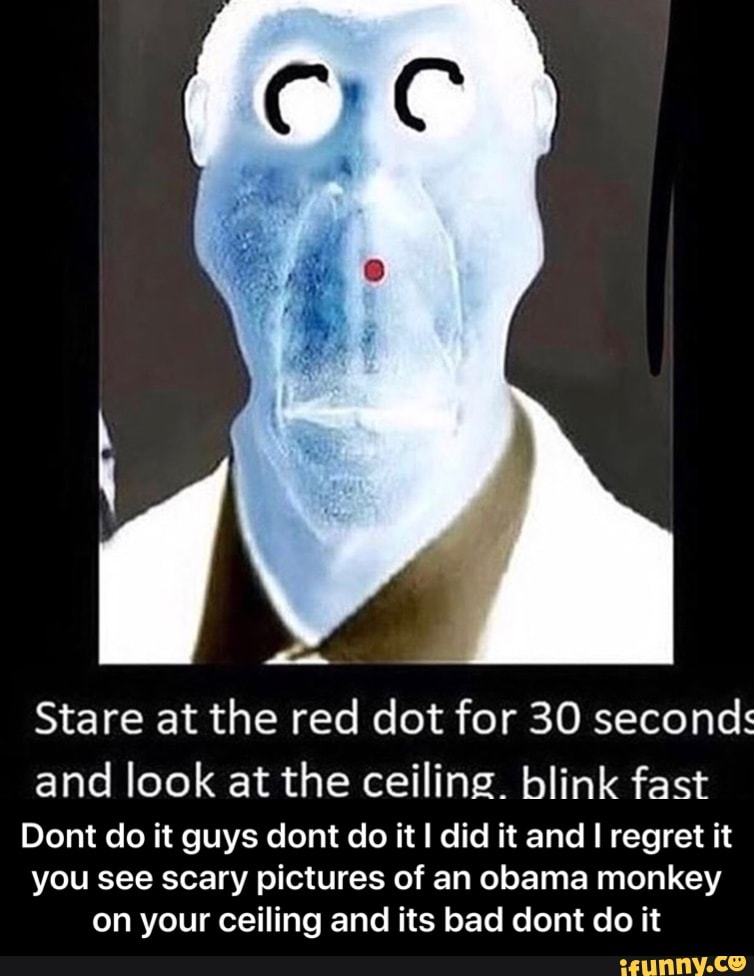 Stare at the red dot for 30 seconds and look at the ceiling