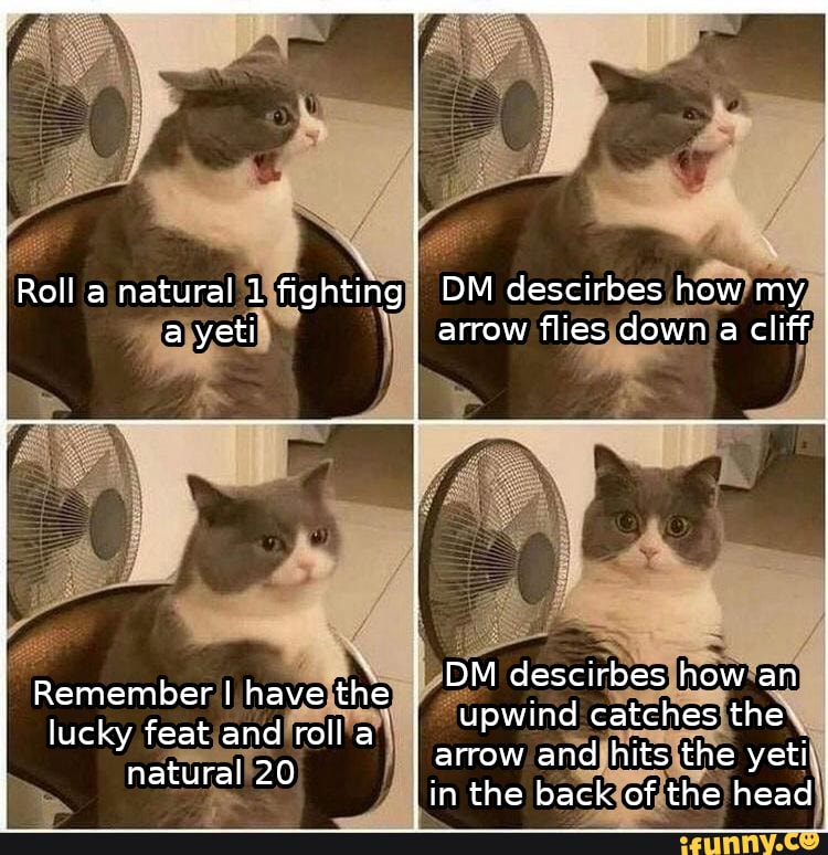 Roll a natural 1 fighting a yeti
Remember I have the lucky feat and roll a natural 20
DM descirbes how my arrow flies down a cliff
DM descirbes how an
upwind catches the arrow and hits the yeti I in the back of the head