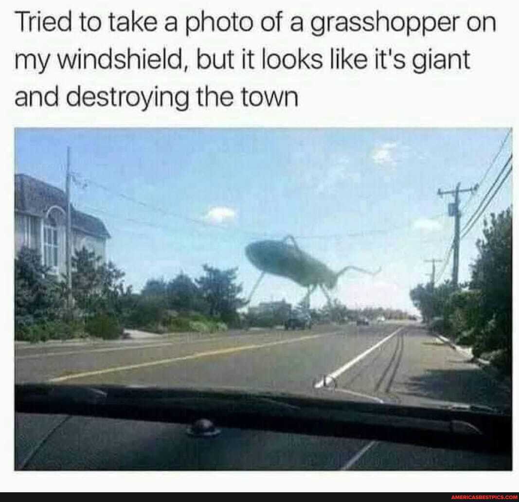 Tried to take a photo of a grasshopper on my windshield, but it looks like it's giant and destroying the town