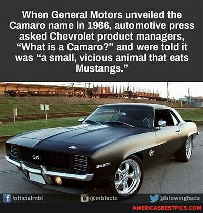 When General Motors unveiled the Camaro name in 1966, automotive press  asked Chevrolet product managers, 