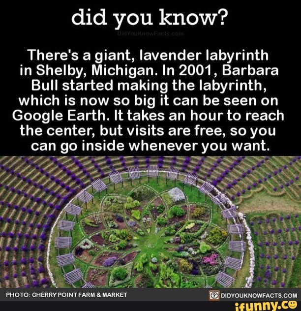 Did you know? There's a giant, lavender labyrinth in Shelby, Michigan ...