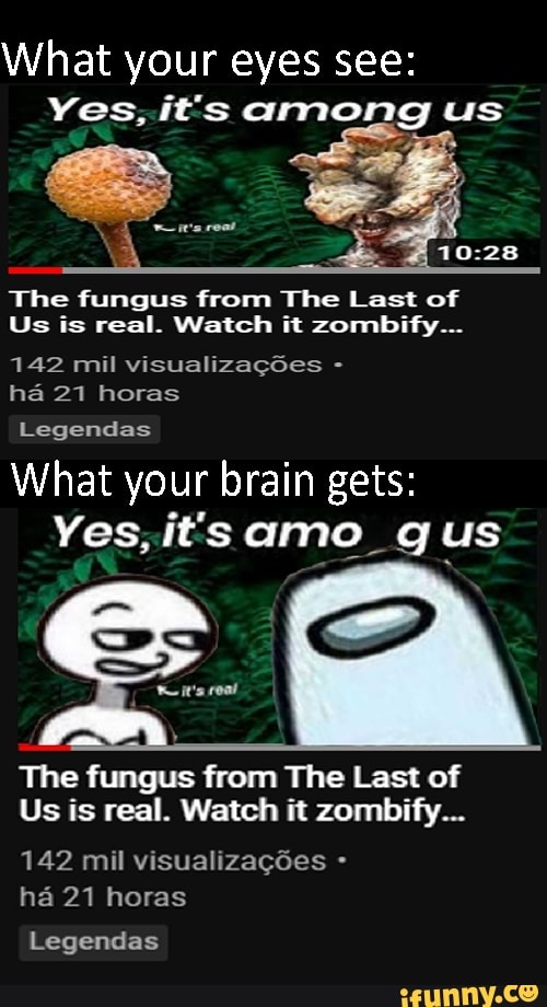 What your eyes see:
Yes; it's among us
e's reat
The fungus from The Last of
Us is real. Watch it zombify...
142 mil visualizagSes - ha 21 horas
Legendas
What your brain gets:
Yes, it's amo_g us
The fungus from The Last of
Us is real. Watch it zombify...
142 mil visualizagdes - ha 21 horas
Legendas