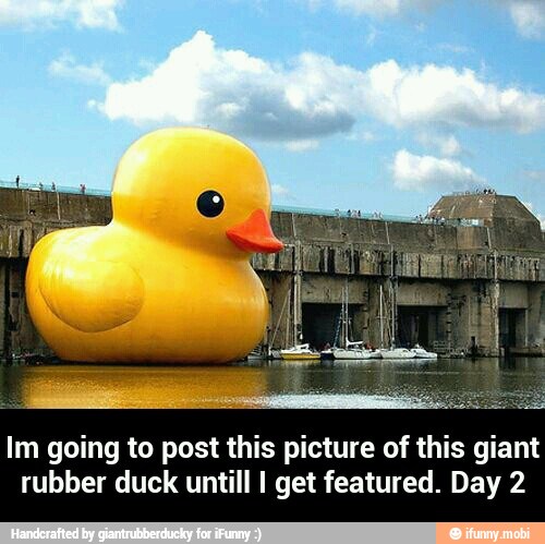 Im going to post this picture of this giant
rubber duck untill I get featured. Day 2 - Im going to post this picture of this giant rubber duck untill I get featured. Day 2