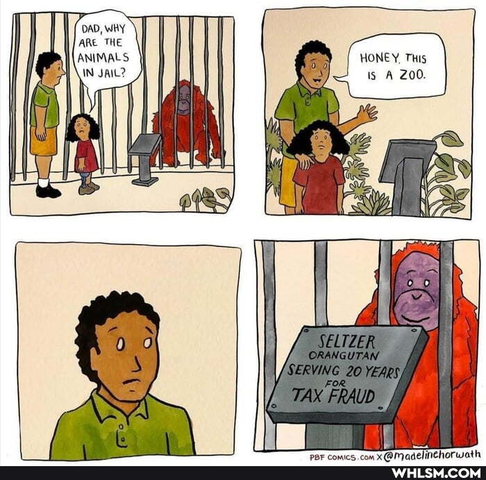 DAD, WAY ARE THE
IN JAIL?