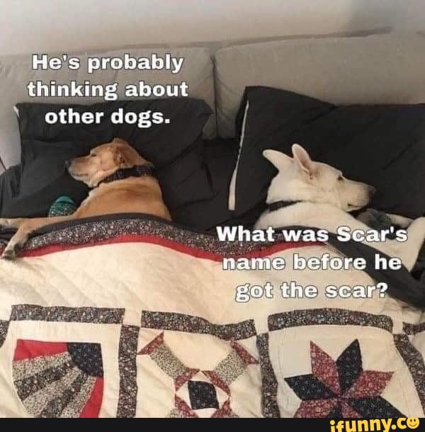 He's proba
thinking absut other dogs.
What was Scar's name before he got the scar?