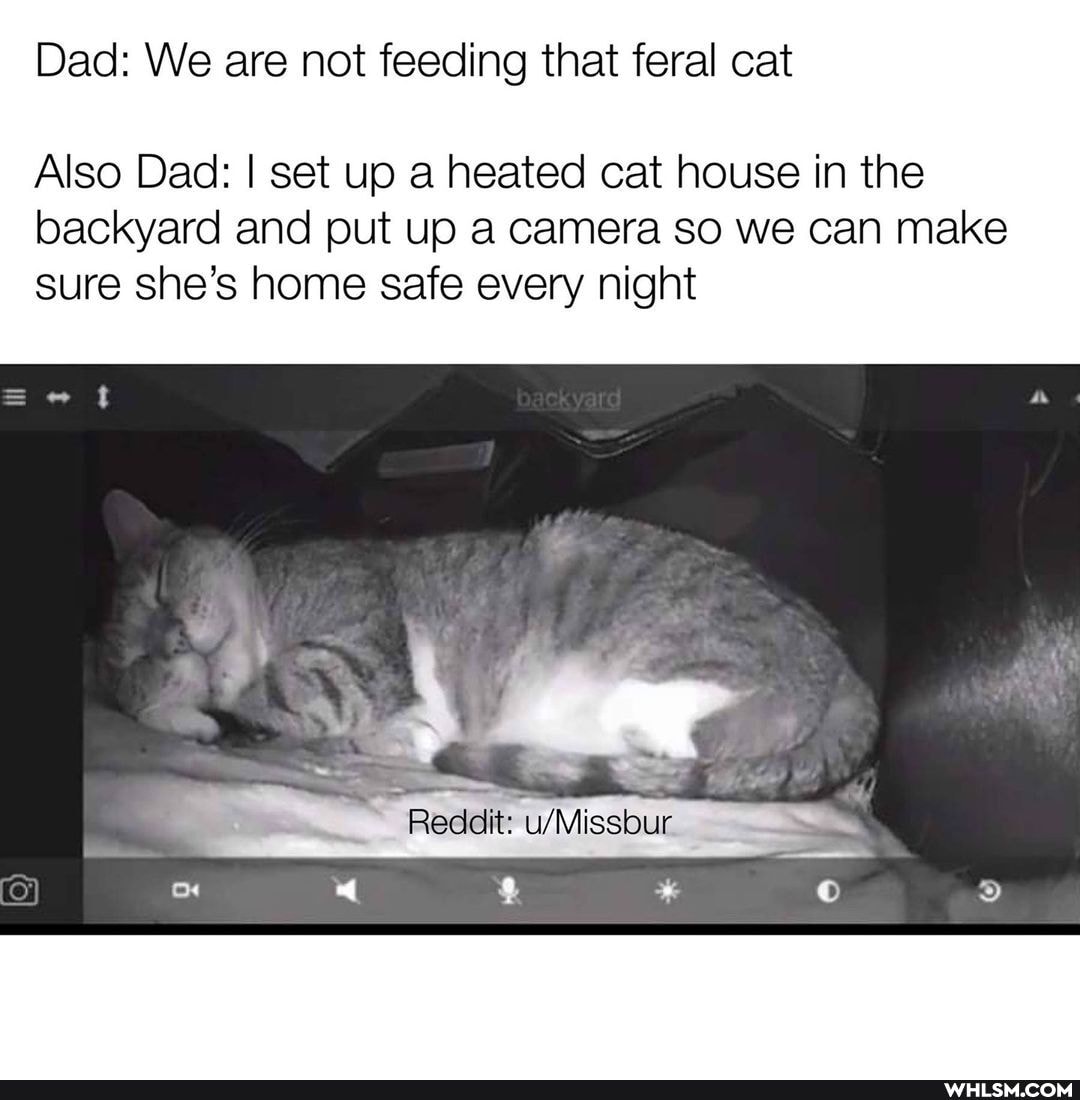 Dad: We are not feeding that feral cat
Also Dad: I set up a heated cat house in the
backyard and put up a camera so we can make sure she's home safe every night