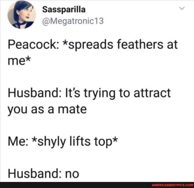 Peacock: *spreads feathers at me*
Husband: It's trying to attract you as a mate
Me: *shyly lifts top*
Husband: no
