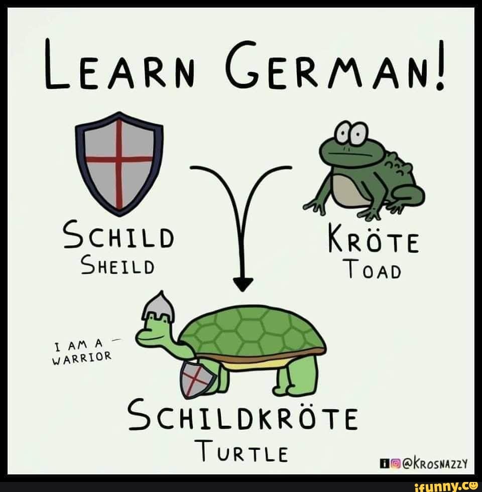 learn-german-sheild-aa-a-warrior-schildkrote-turtle-ifunny