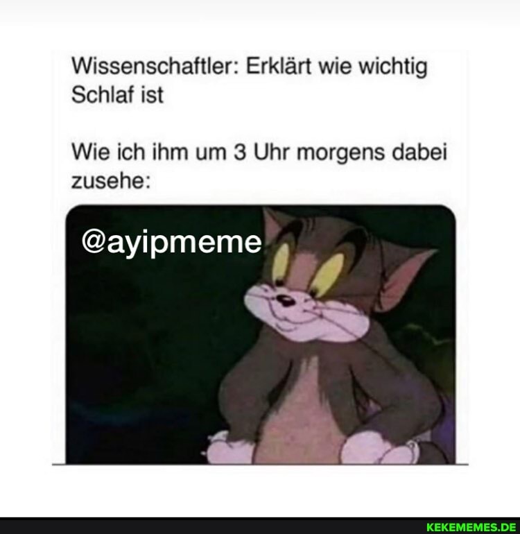 Wissenschaftler: Erklärt wie wichtig
Schlaf ist
Wie ich ihm um 3 Uhr morgens dabei zusehe:
@ayipmeme