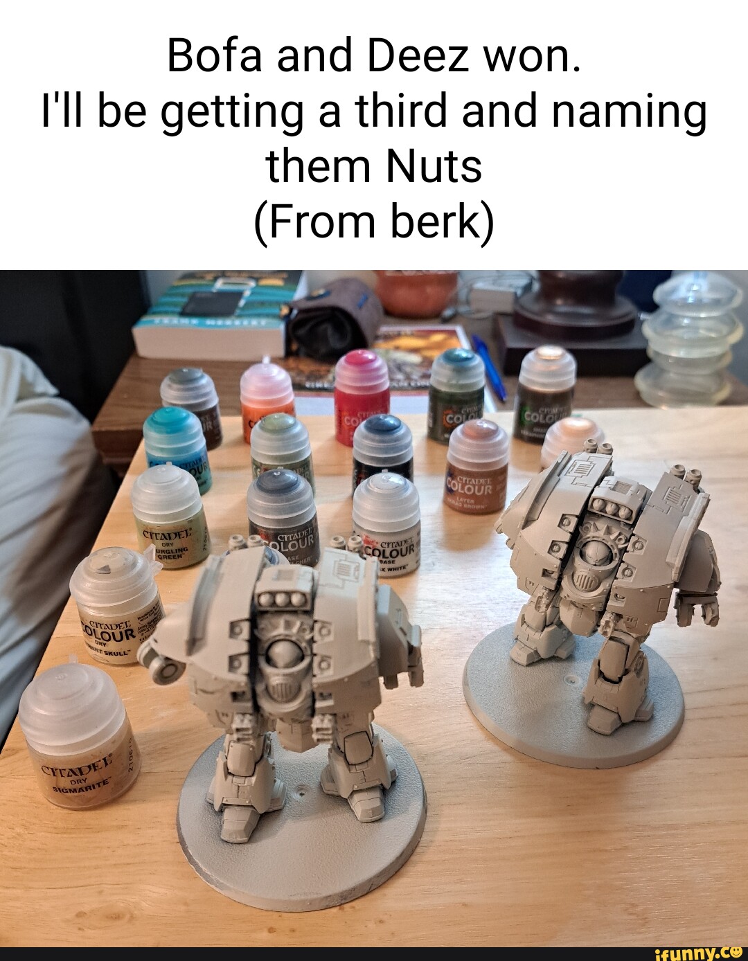 Bofa and Deez won. 'll be getting a third and naming them Nuts (From berk) iFunny