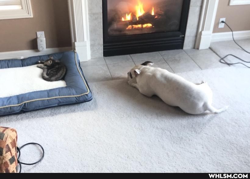 aww