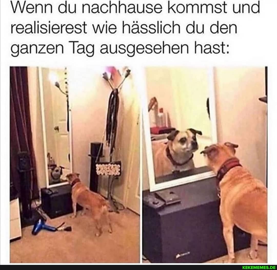 Wenn du nachhause kommst und realisierest wie hässlich du den ganzen Tag ausgesehen hast: