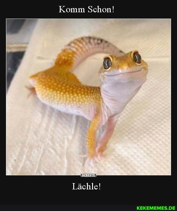 Komm Schon!
Lächle!