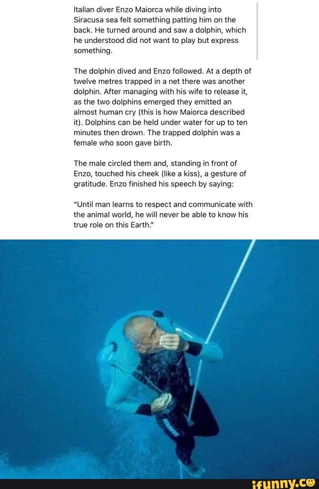 Italian Diver Enzo Maiorca While Diving Into Siracusa Sea Felt Something Patting Him On The Back