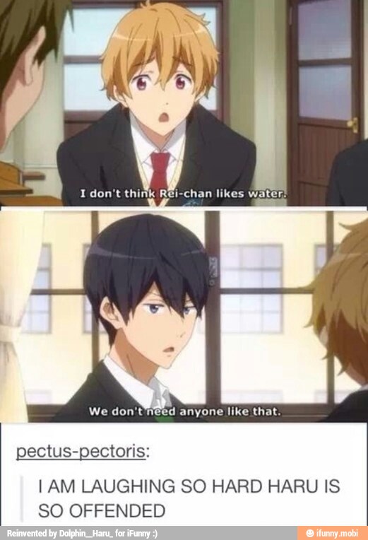 I don't think Rei-chan likes water:
We don'tneed anyone like that
pectus-pectoris:
I AM LAUGHING SO HARD HARU IS
SO OFFENDED