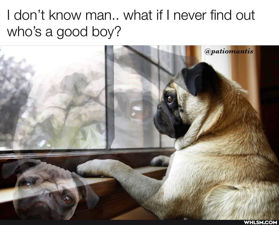 I don't know man.. what if I never find out who's a good boy'?
@patio: