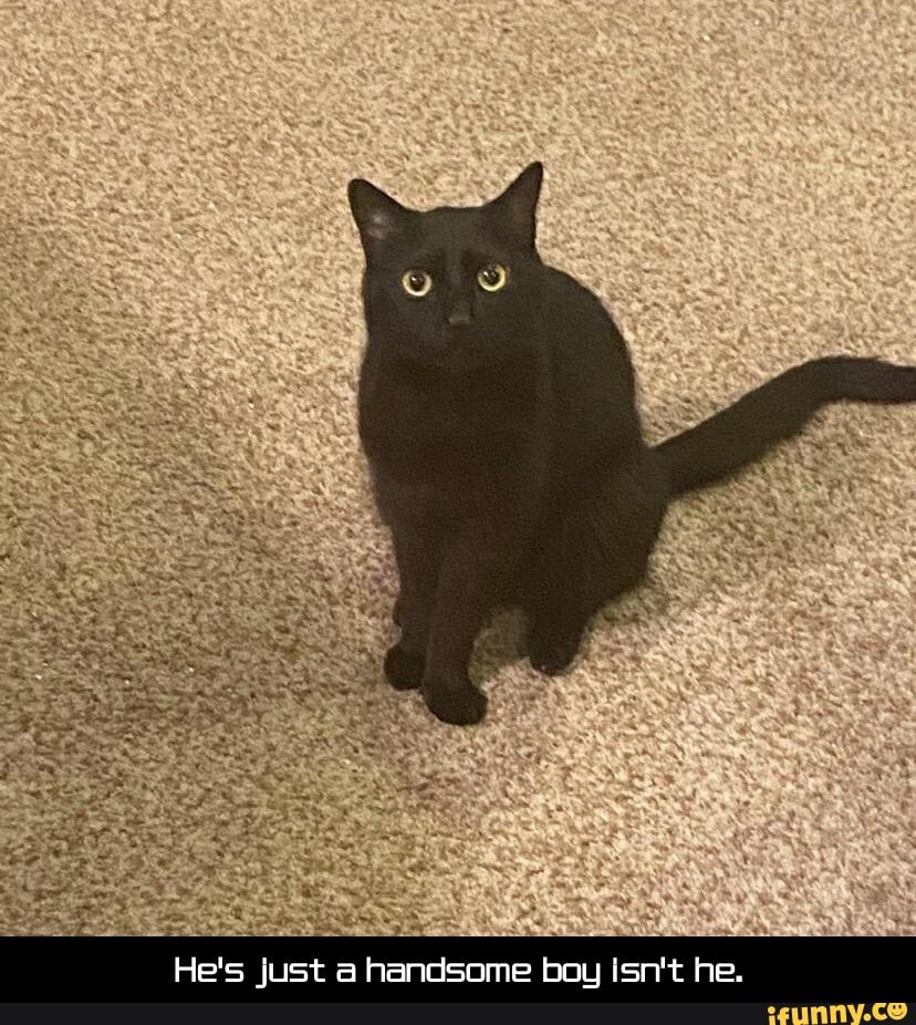He's Just a handsome boy Isn't he. - He's just a handsome boy isn't he.