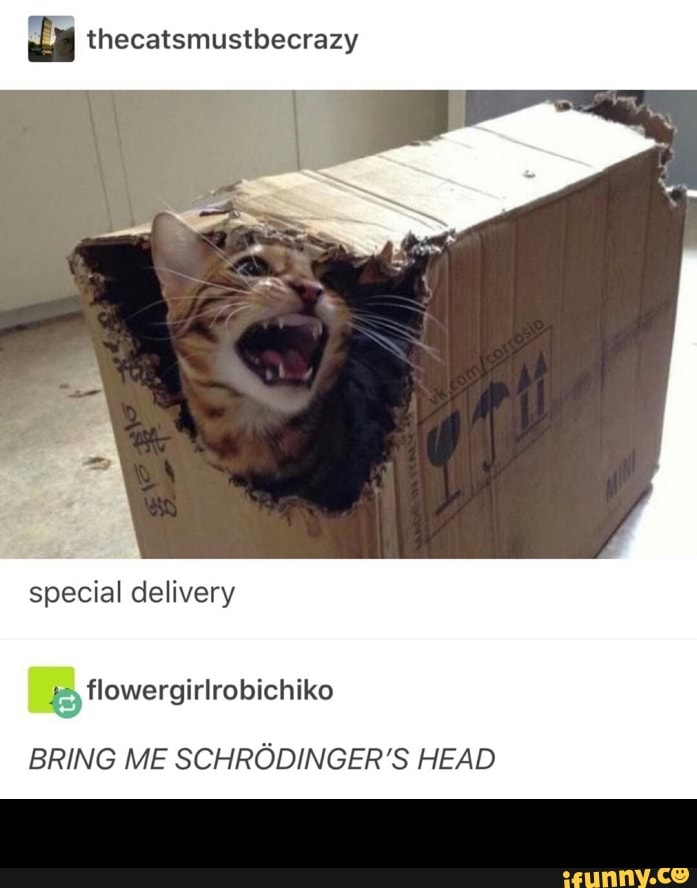 thecatsmustbecrazy
special delivery
BRING ME SCHRODINGER'S HEAD -