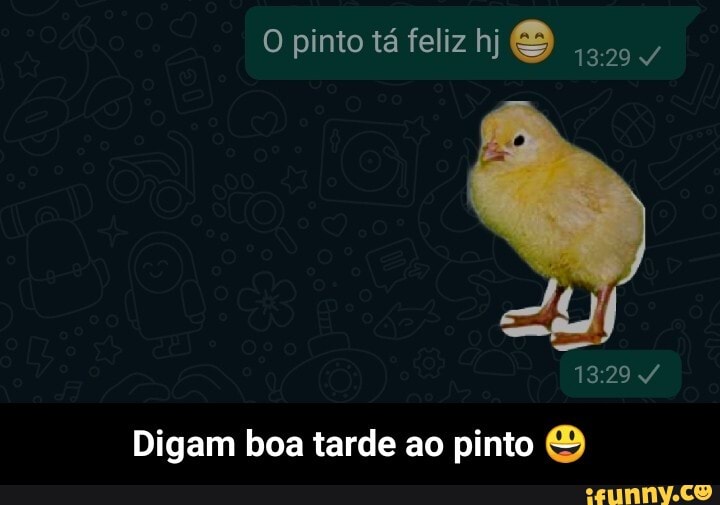 O pinto tá feliz hj
Digam boa tarde ao pinto - Digam boa tarde ao pinto 😃