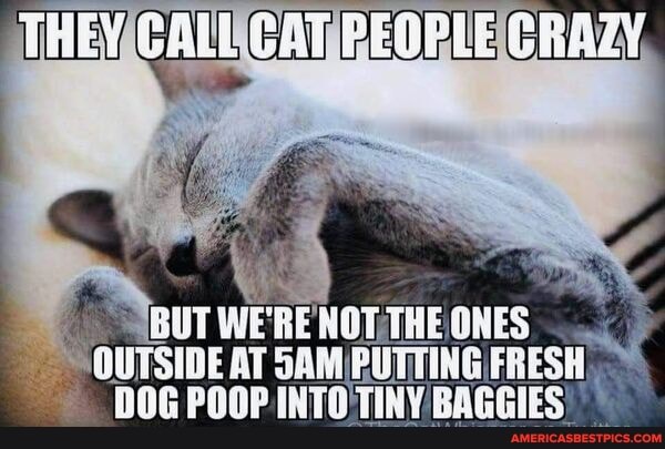 THEY LE
ABUT WE'RE HOT ONES UTSIDE AT SAM PUTTING FRESH
DOG POOP