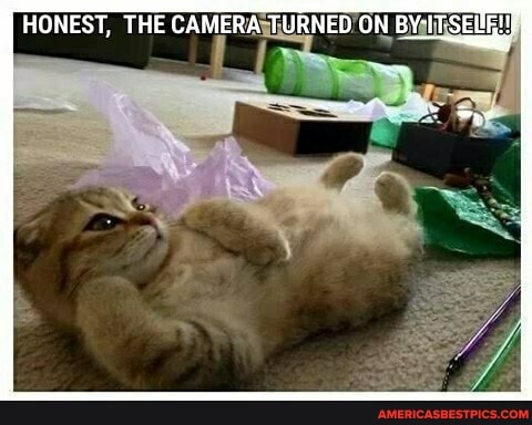 HONEST, THE CAMERA TURNED ON