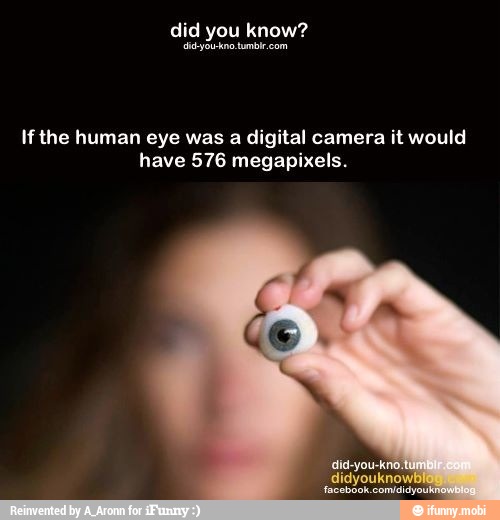 how many mp of human eye