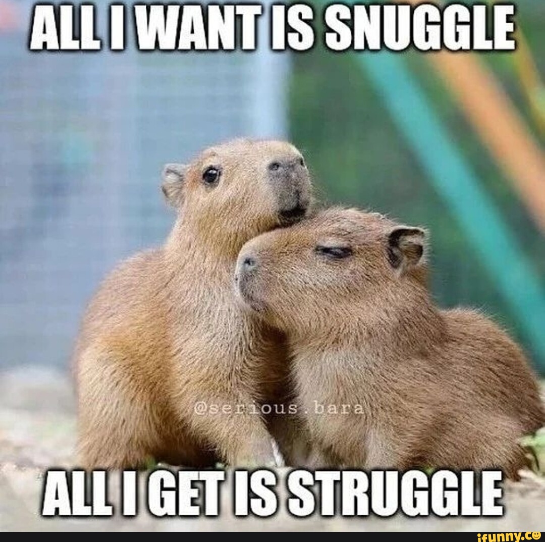 Snuggle memes. Best Collection of funny Snuggle pictures on iFunny