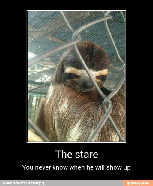 The stare
You never know when he will show up - The stare
You never know when he will show up