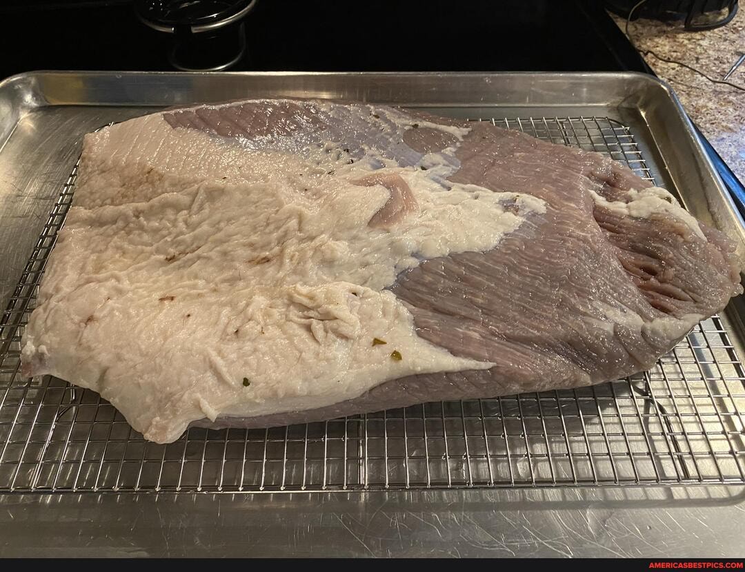 brisket, pastrami, baby_animals, homemade_food, camp_chef