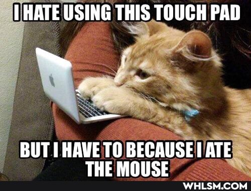 HATE USING THIS TOUCH PAD
BUT HAWE TO BECAUSE ATE TUC RAINIICE