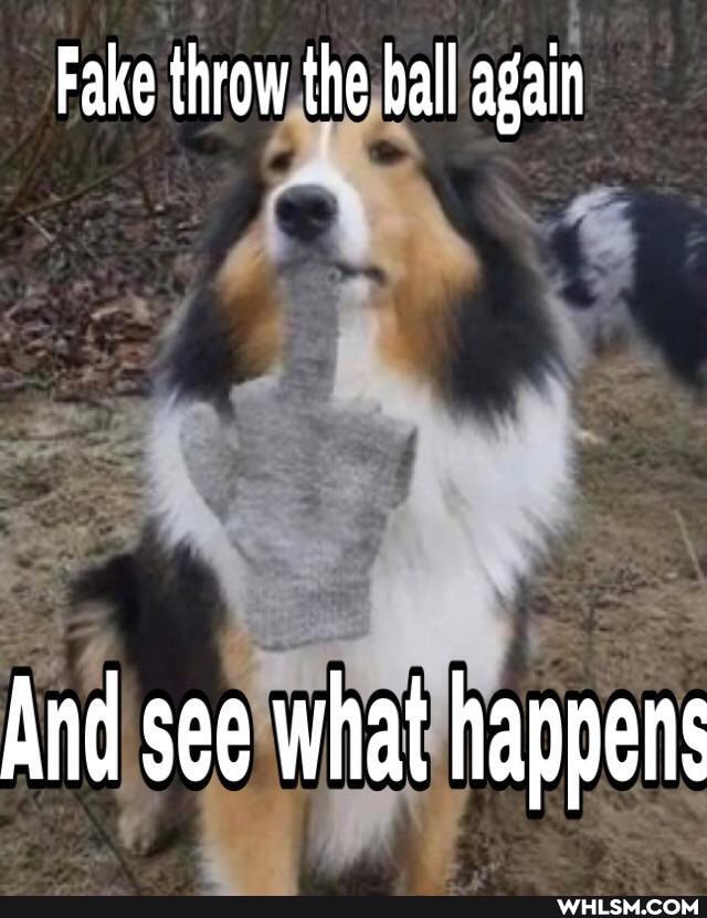 Fake throw the ball again
And see what happen: