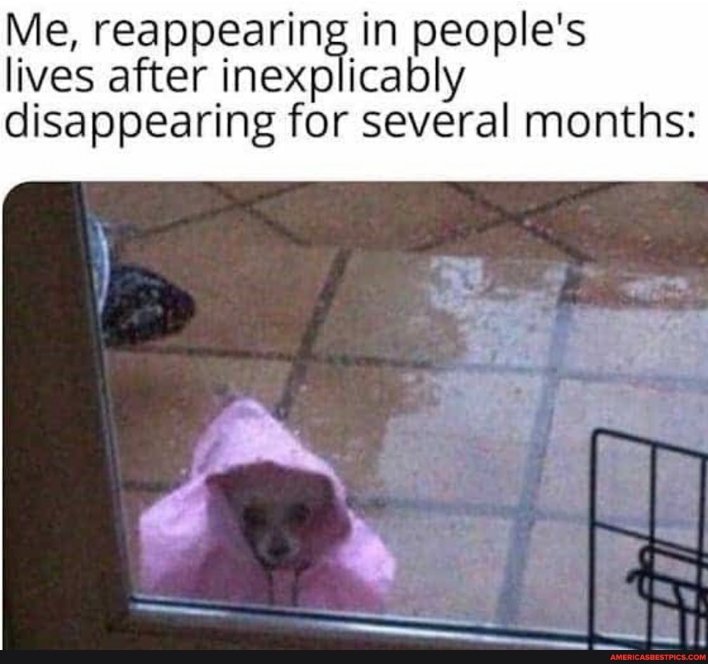Me, reappearing in people's lives after inexplicably disappearing for several months: