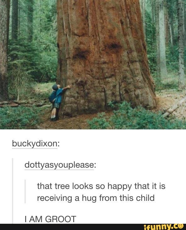that tree looks so happy that it is
receiving a hug from this child
1 AM GROOT