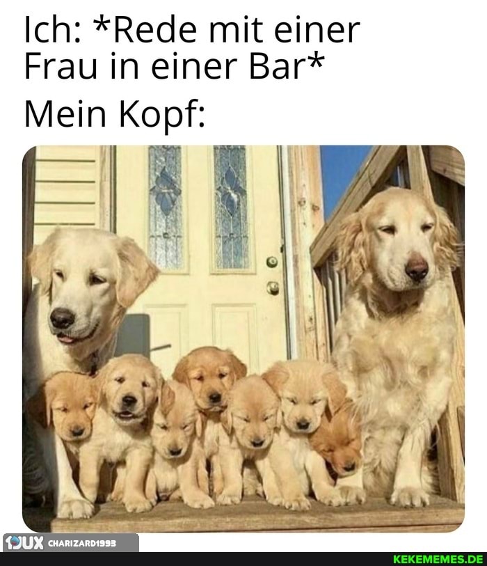 Ich: *Rede mit einer
Frau in einer Bar*
Mein Kopf: